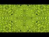 Green Visual